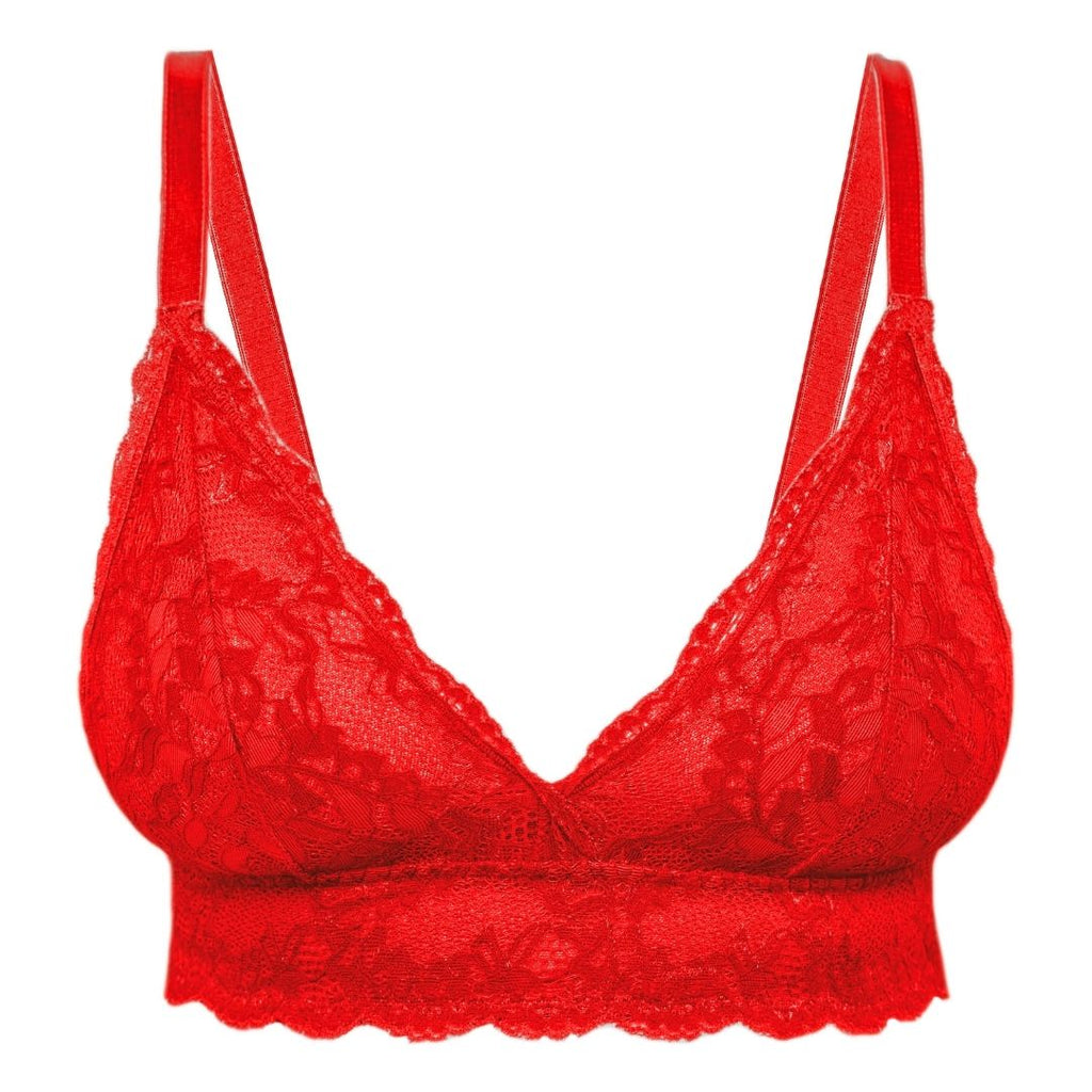 Red Lace Bra On White Background With Live Rose Flower Stock Photo