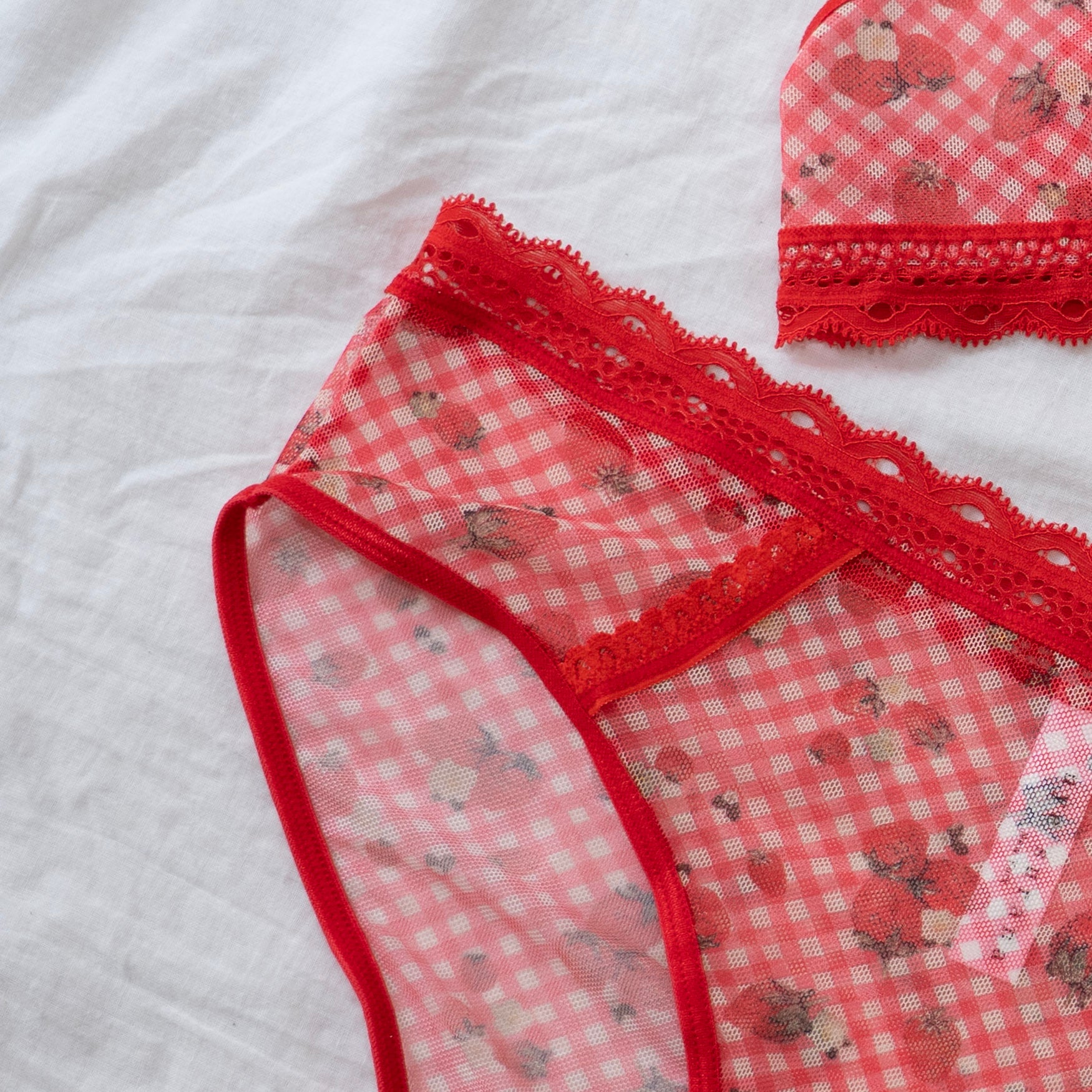 Undies Drawer Refresh - Fruity Mesh Bikini 2-Pack