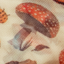 
                                      mushrooms
                                    